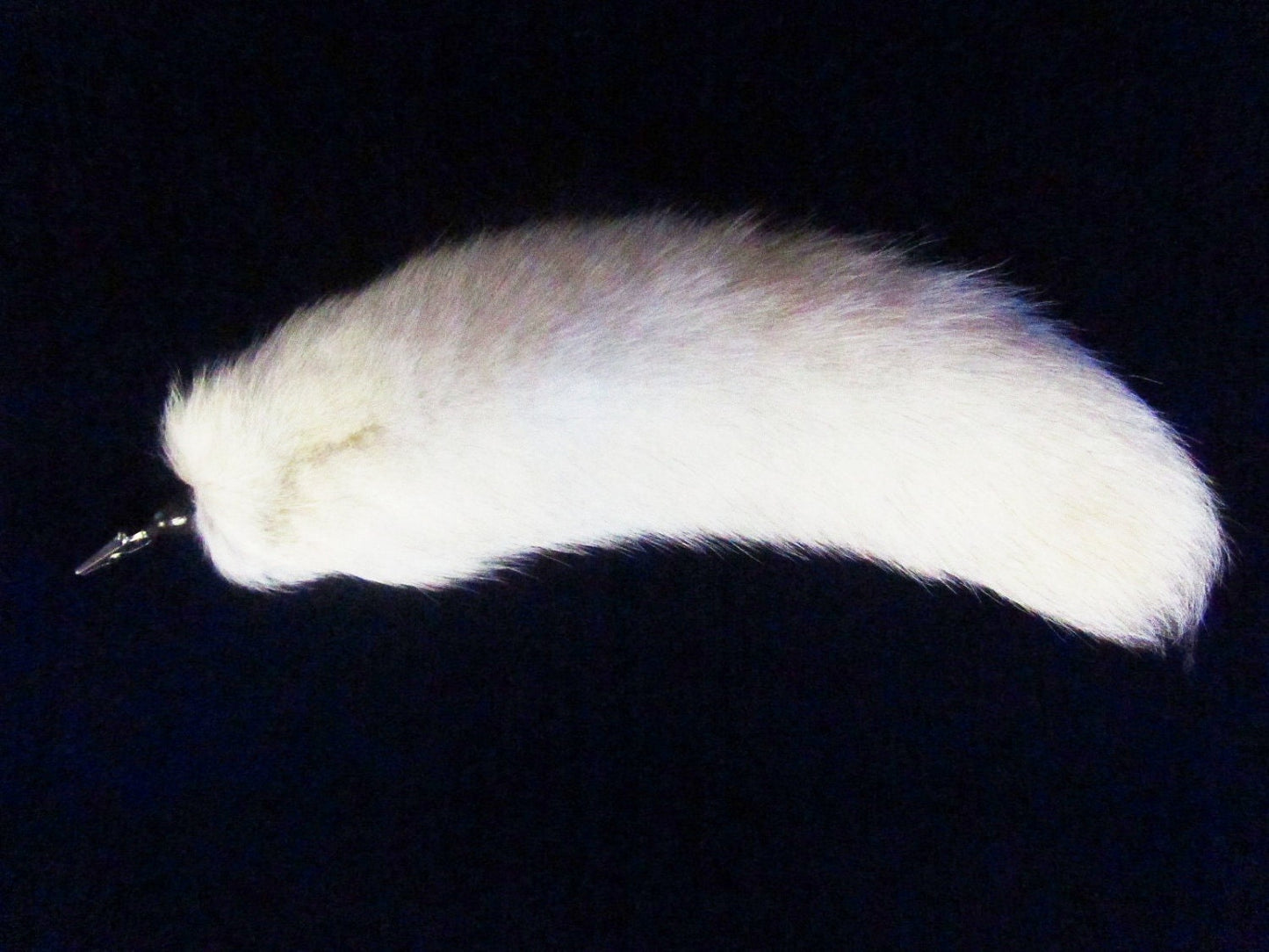 Arctic Fox Tail